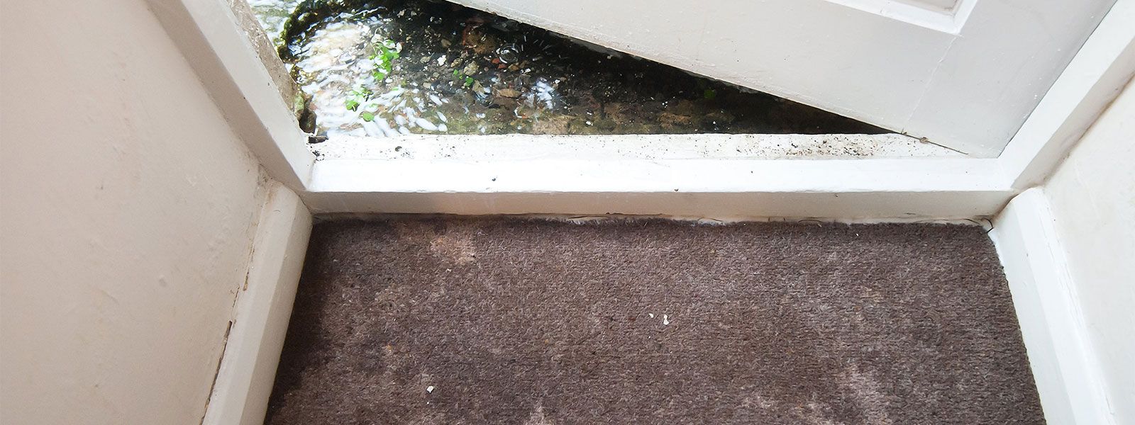 Wet carpet at basement entrance