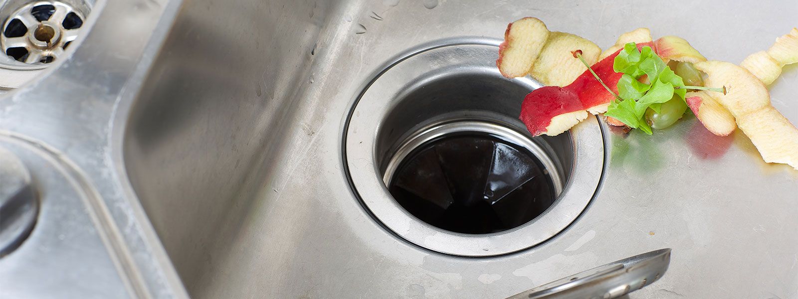 Apple peels going down the garbage disposal