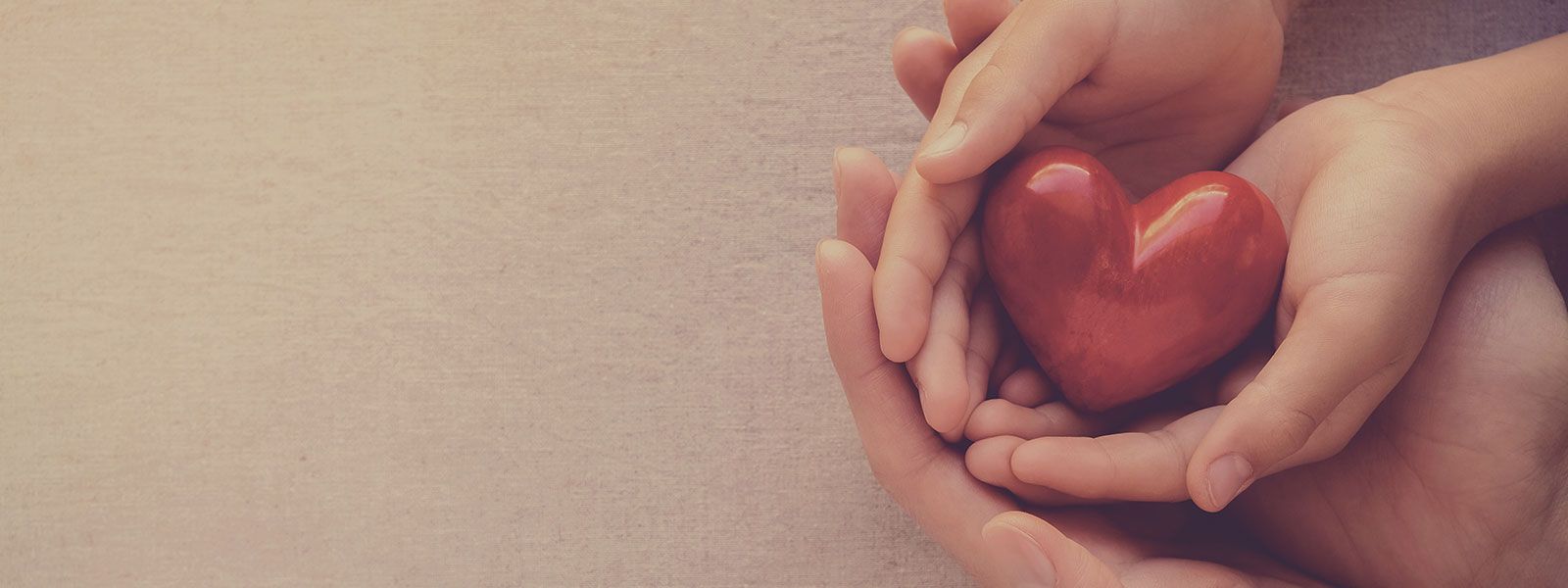 Health & Safety Update from Haller