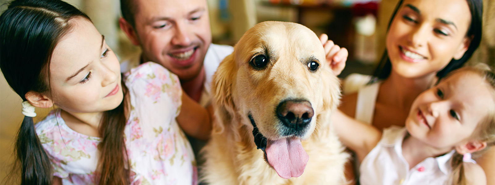 Time for an Air Purifier for Pets?