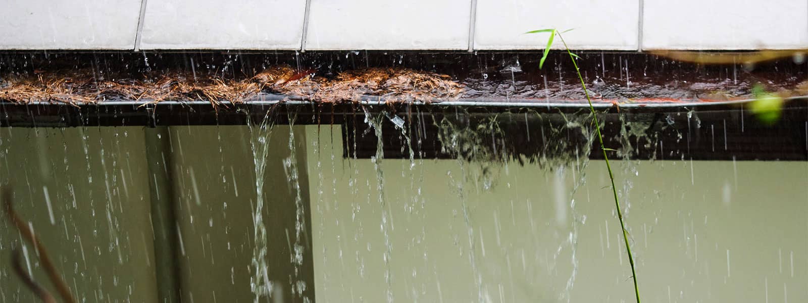 Storm Damage Restoration: What to Do After the Big Rain