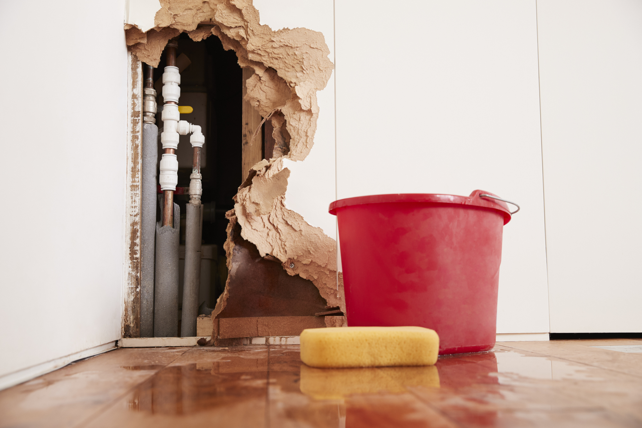 Tips To Avoid Plumbing Issues This Holiday Season