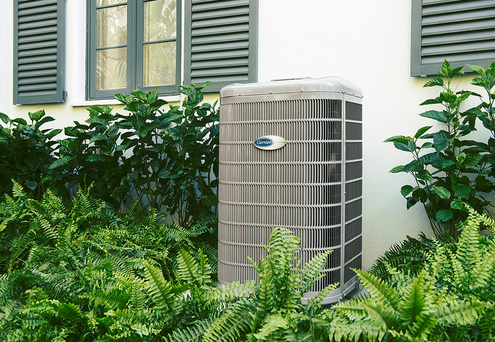 Carrier outdoor AC unit surrounded by ferns